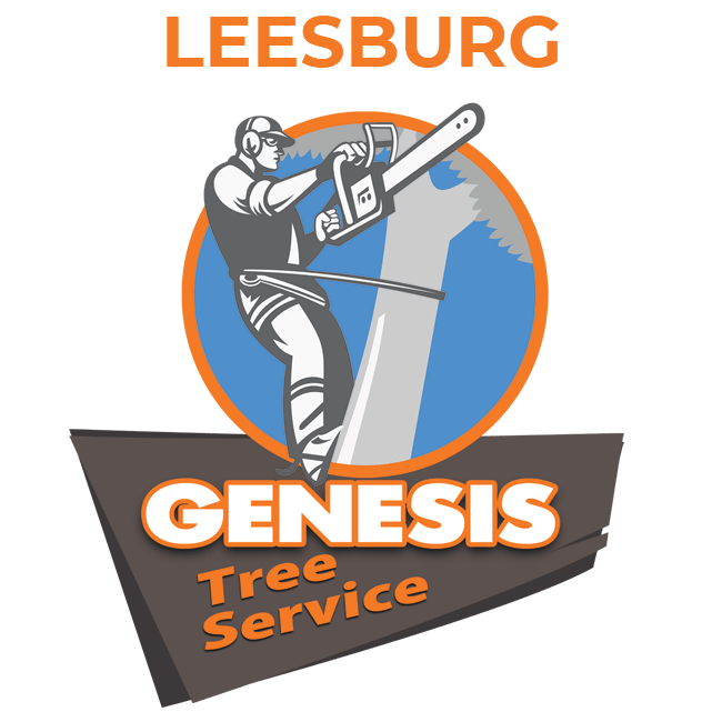 img/logo-21.png